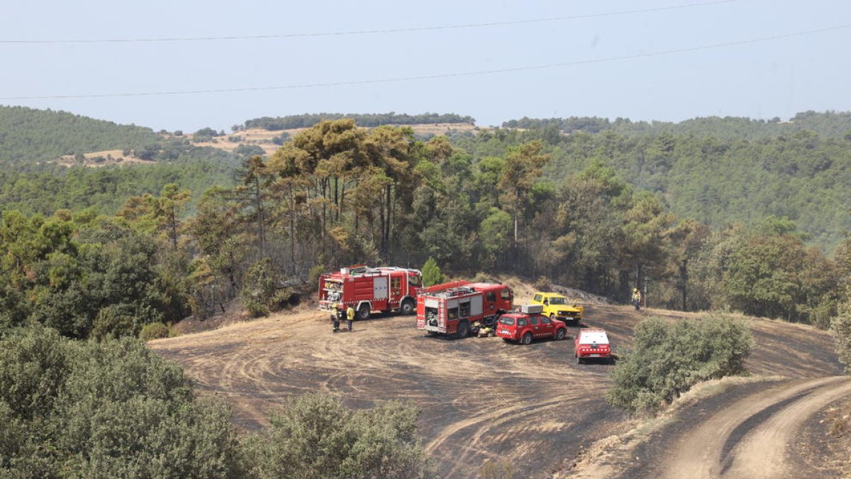 Bomberos en el incendio de vegetación que se originó ayer de madrugada en Vilaplana, núcleo de la Baronia de Rialb. 