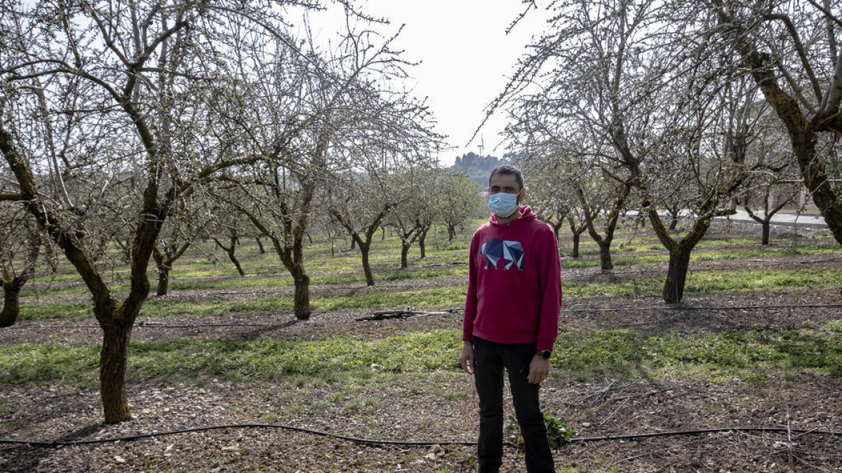 Carlos Ballesté va deixar la fusteria per l’agricultura gràcies al reg del Garrigues Sud.