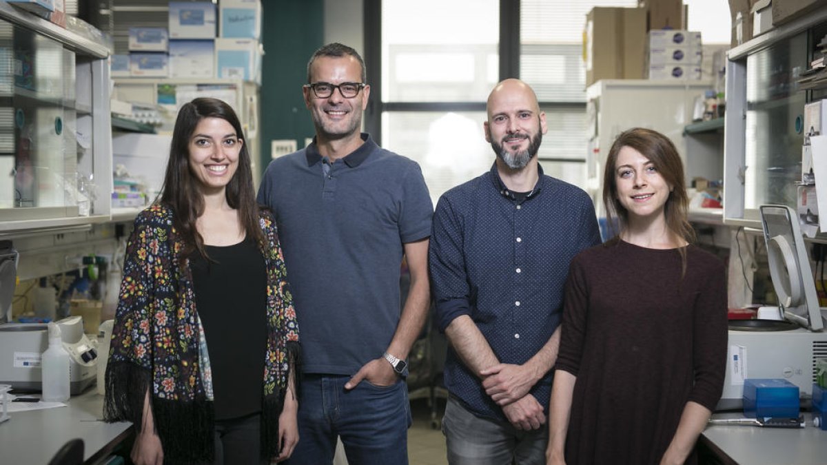 Valentina Maria Zinna, Salvador Aznar Benitah, Patrick Welz y Inés Marín Guillén, de l'IRB Barcelona.