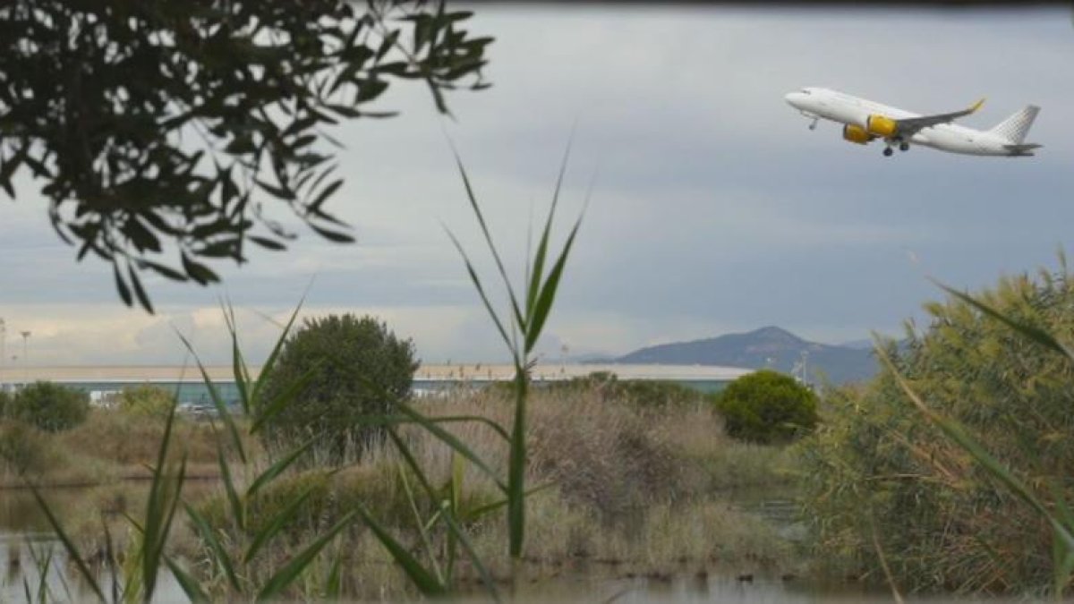 Un avió sobrevola la finca de la Ricarda, veïna de l’aeroport.