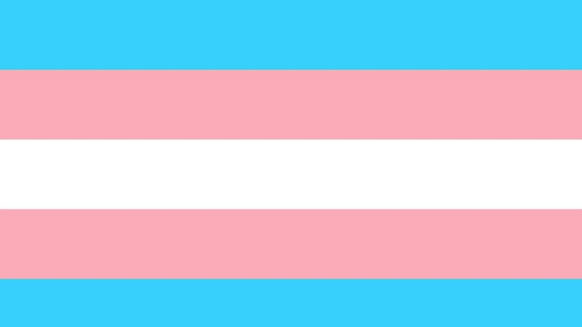 Bandera de l'orgull trans
