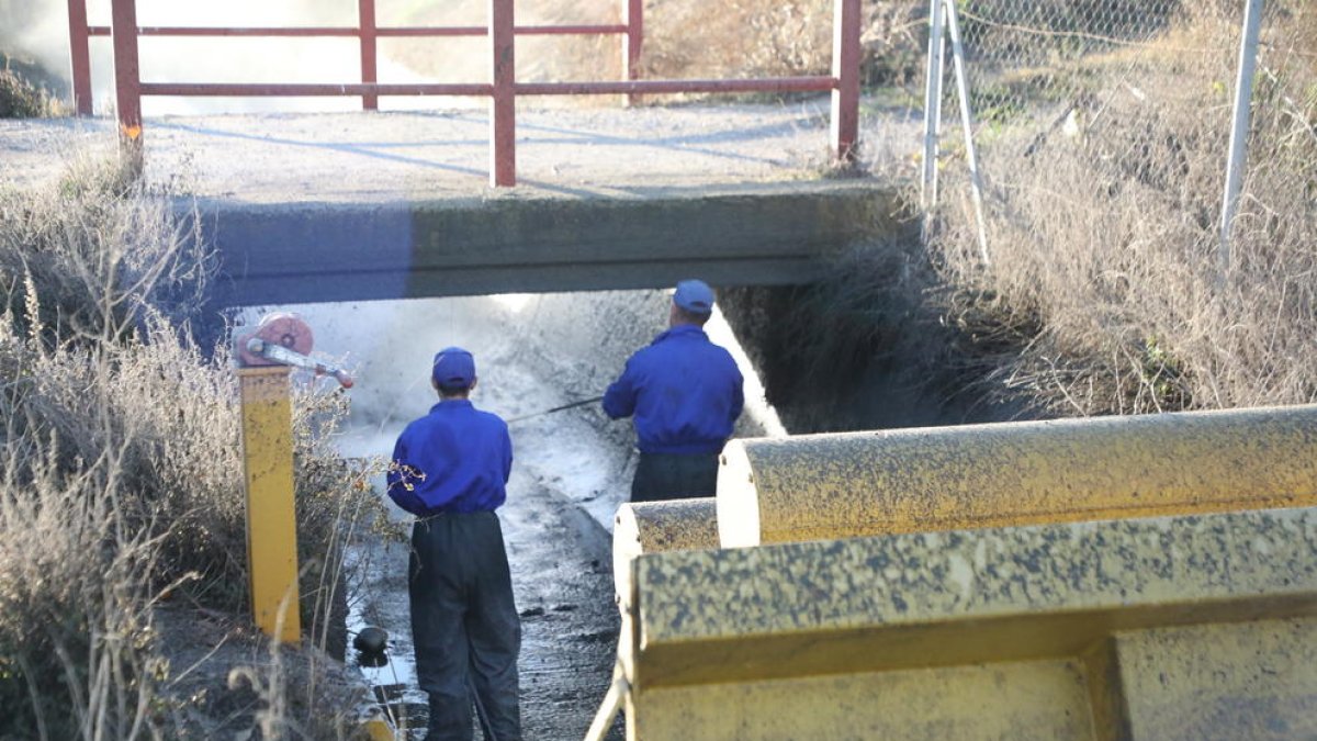 Operarios trabajando ayer en el acondicionamiento y limpieza en la acequia Major de Pinyana en Lleida.