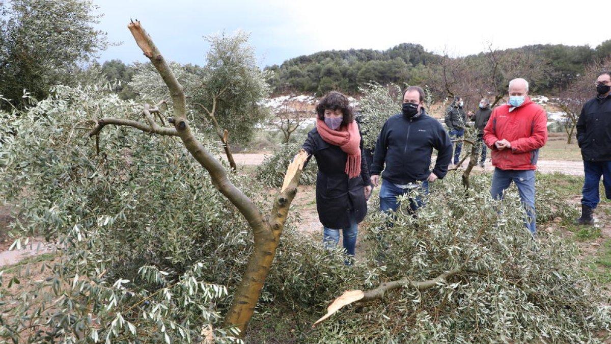 La consellera d’Agricultura, Teresa Jordà, ahir, visitant un camp afectat per Filomena a Vinaixa.