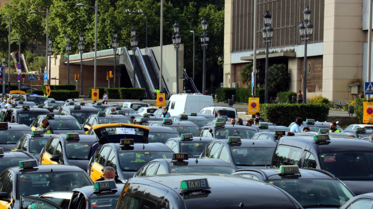 Plan cerrado de los taxis esperando en la Avenida Maria Cristina de Barcelona minutos antes de empezar