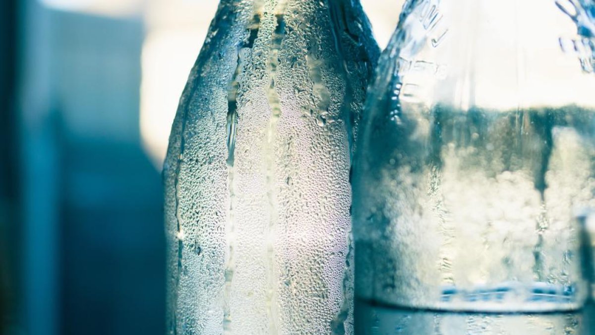 ¿Qué le pasa a nuestro cuerpo cuando bebemos demasiada agua?