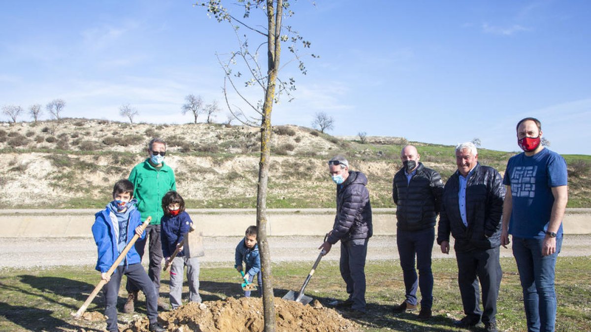 La plantada fue en la primera acequia del  Canal d’Urgell. 