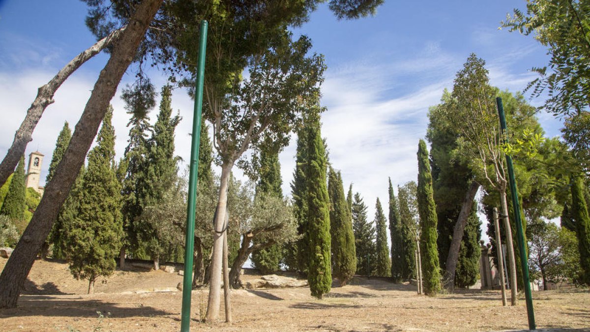 Los postes donde irán las mallas que cierran el recinto.