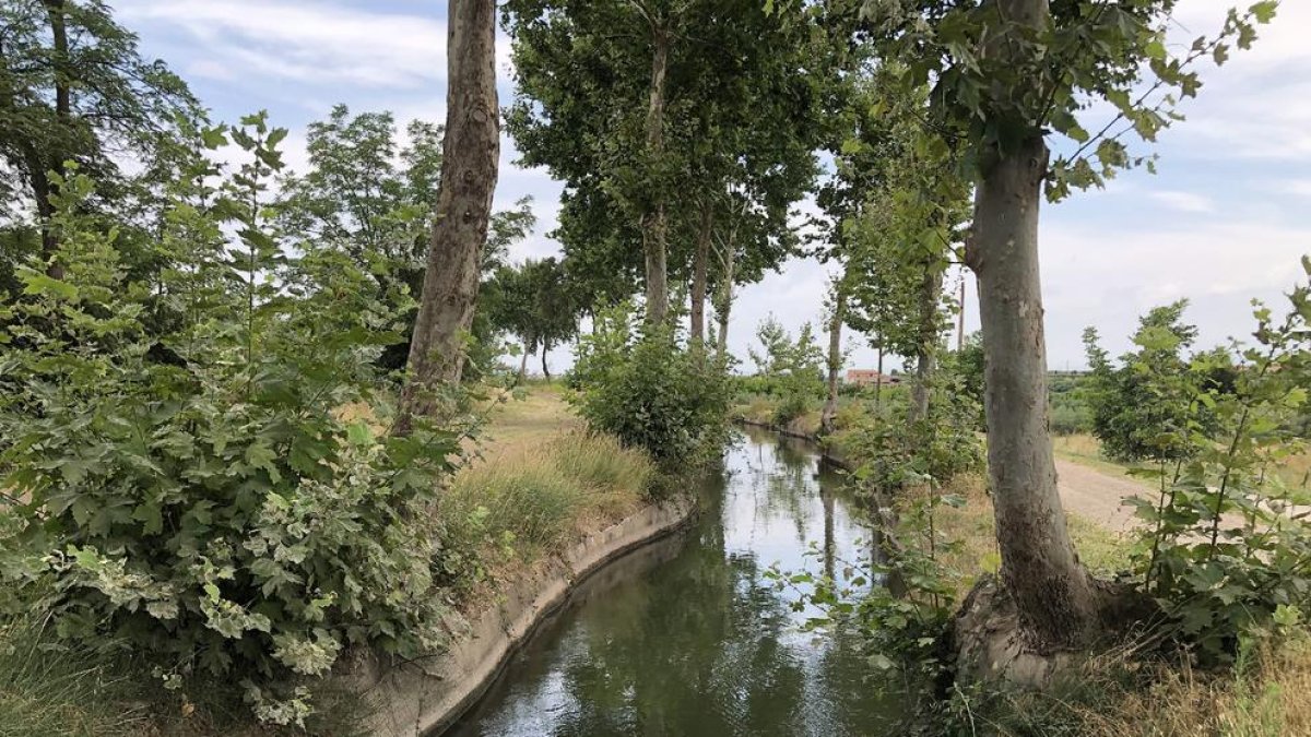 El Canal d’Urgell a su paso por Les Borges. 