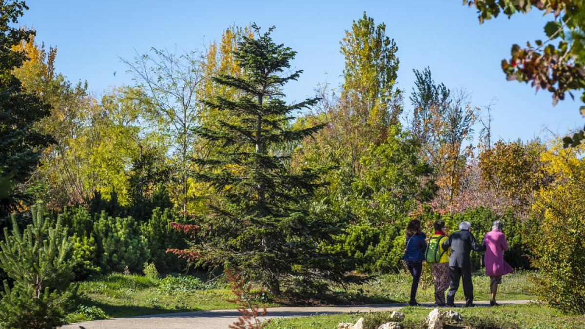 L'Arboretum de Lleida tanca l'any amb més de 5.500 visitants