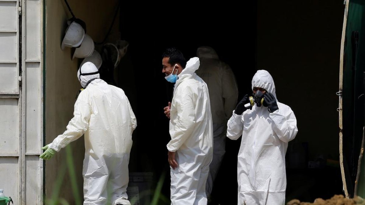 Troben 14 cadàvers d'un assassí en sèrie