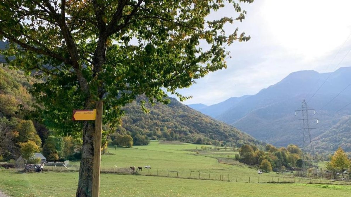 Els terrenys on s’ubicarà el camp de golf de Bossòst.