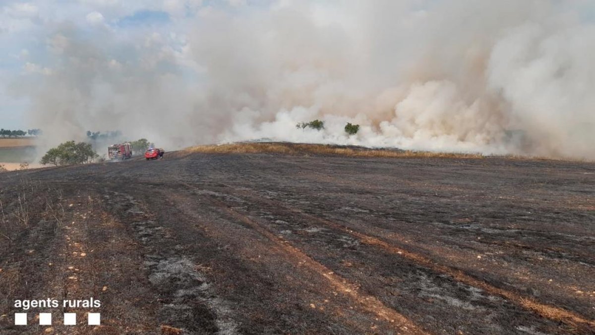 En l’extinció van participar una desena de mitjans dels Bombers.