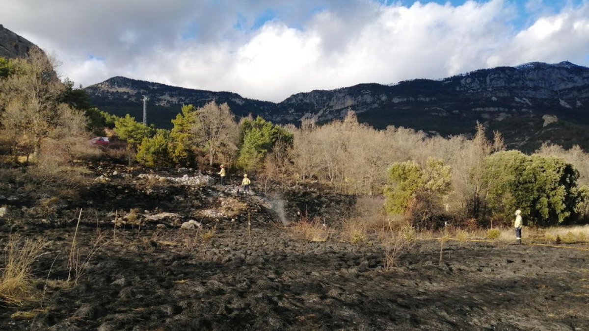 Cinc dotacions van treballar al foc del Solsonès.