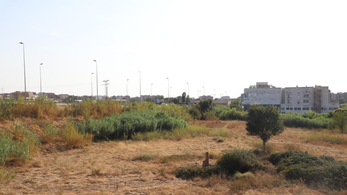 Vista de part dels terrenys on Carrefour projecta un nou centre comercial.