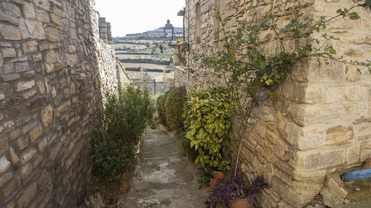 El carrer de les Flors, al nucli de Vilagrasseta.