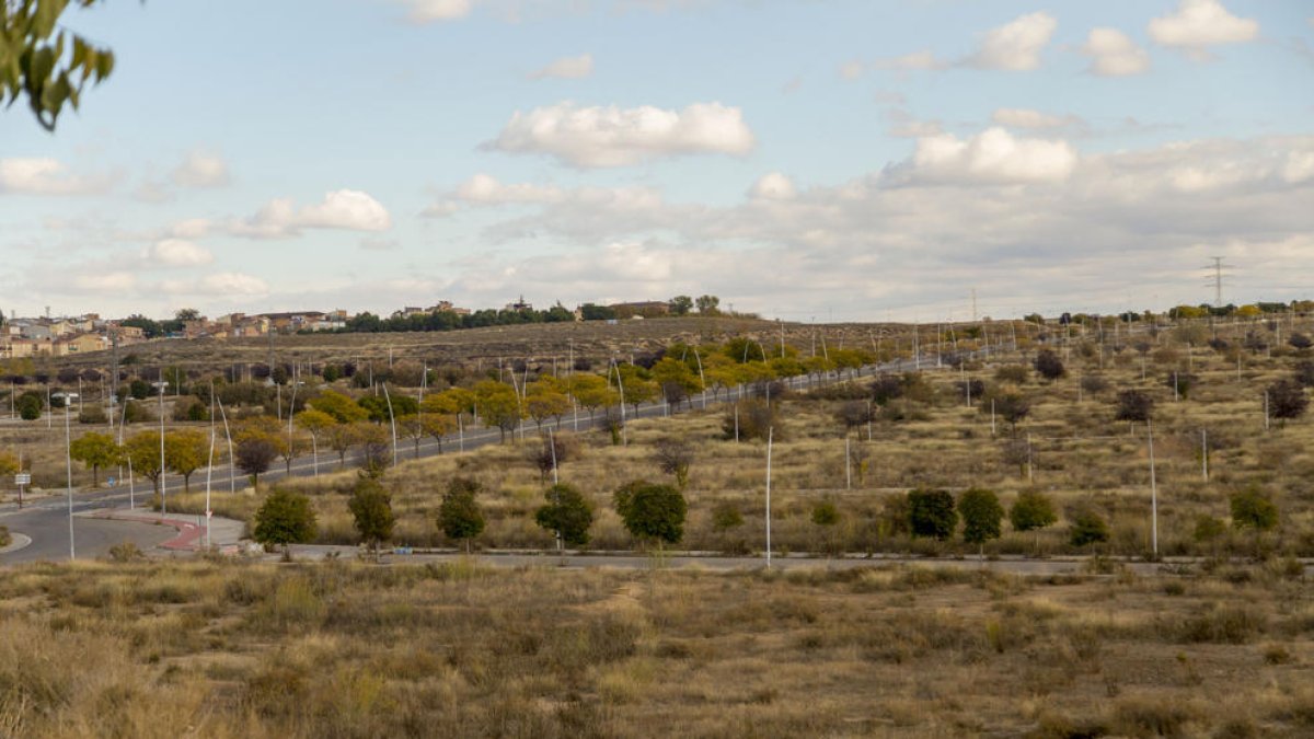 Vista de archivo de los terrenos de Torre Salses, ubicados entre Magraners y La Bordeta.