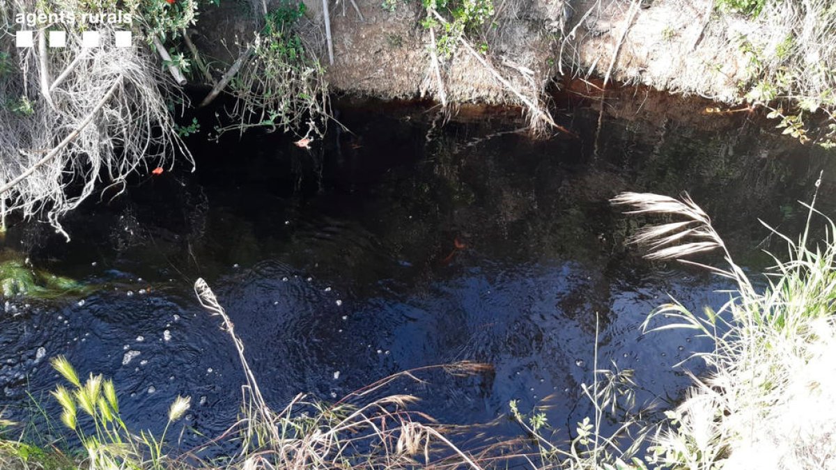 Vista de aguas negras en el río Farfanya, en Castelló de Farfanya. 