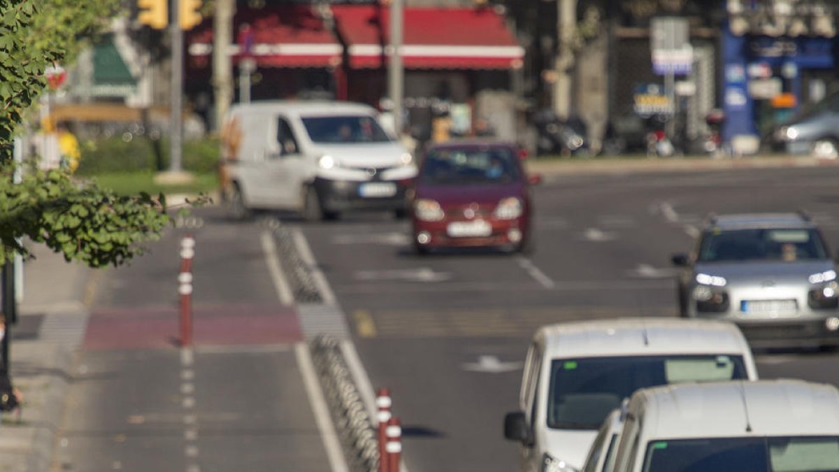 Un ciclista circula pel carril bici de l'avinguda Catalunya.