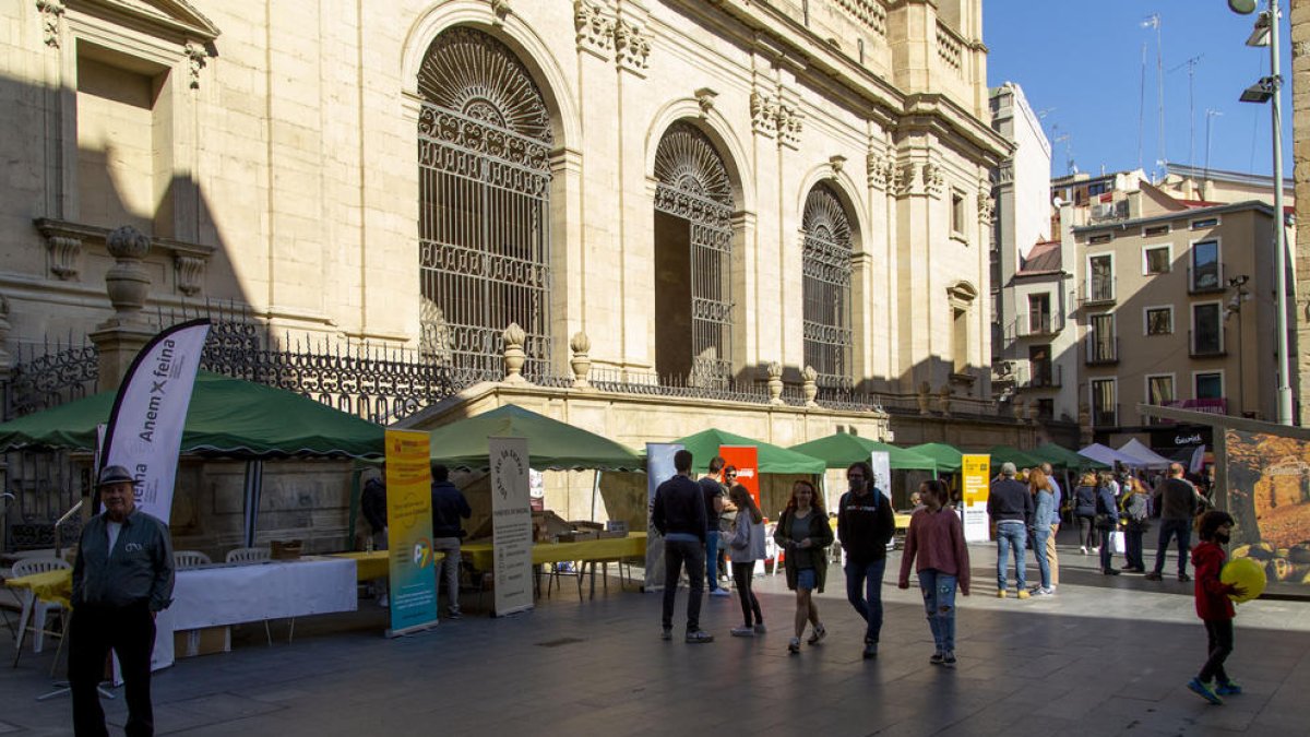 Fira d'empreses a la plaça de la Catedral