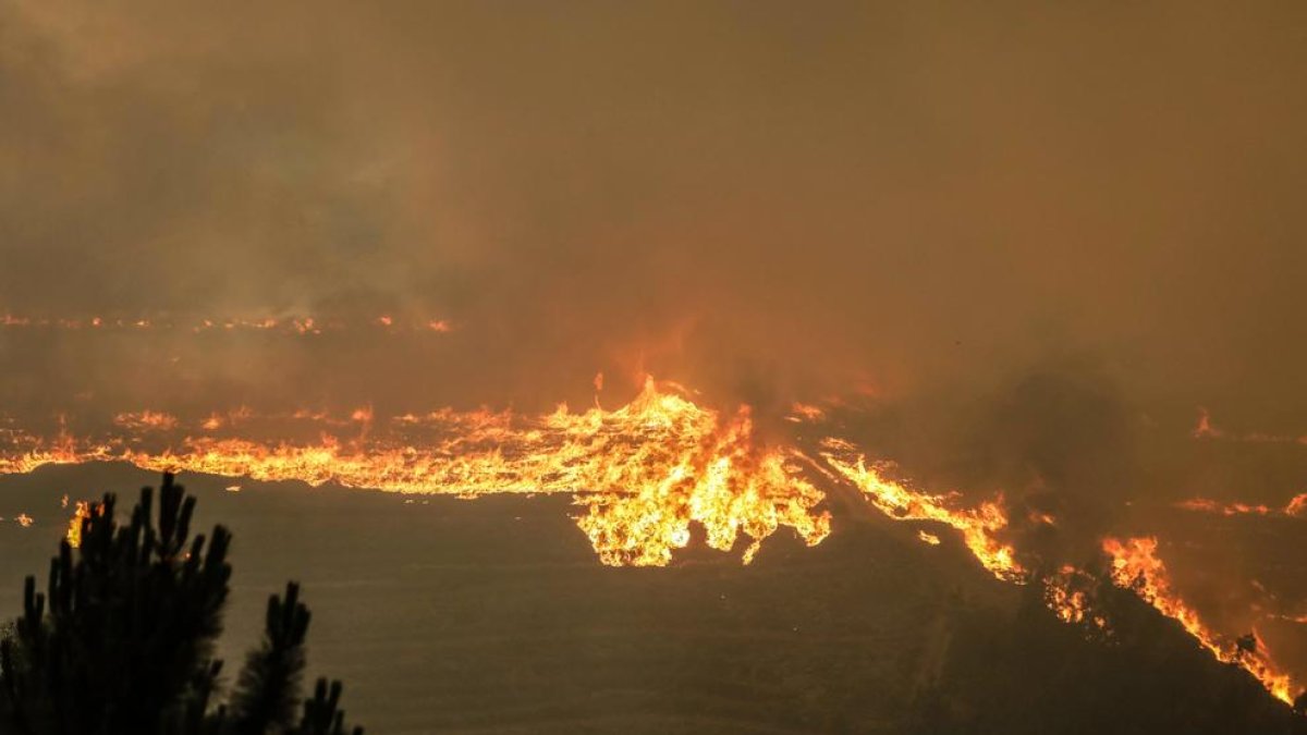 Els bombers portuguesos lluiten contra les flames en un bosc de Vale das Porcas, al centre del país.