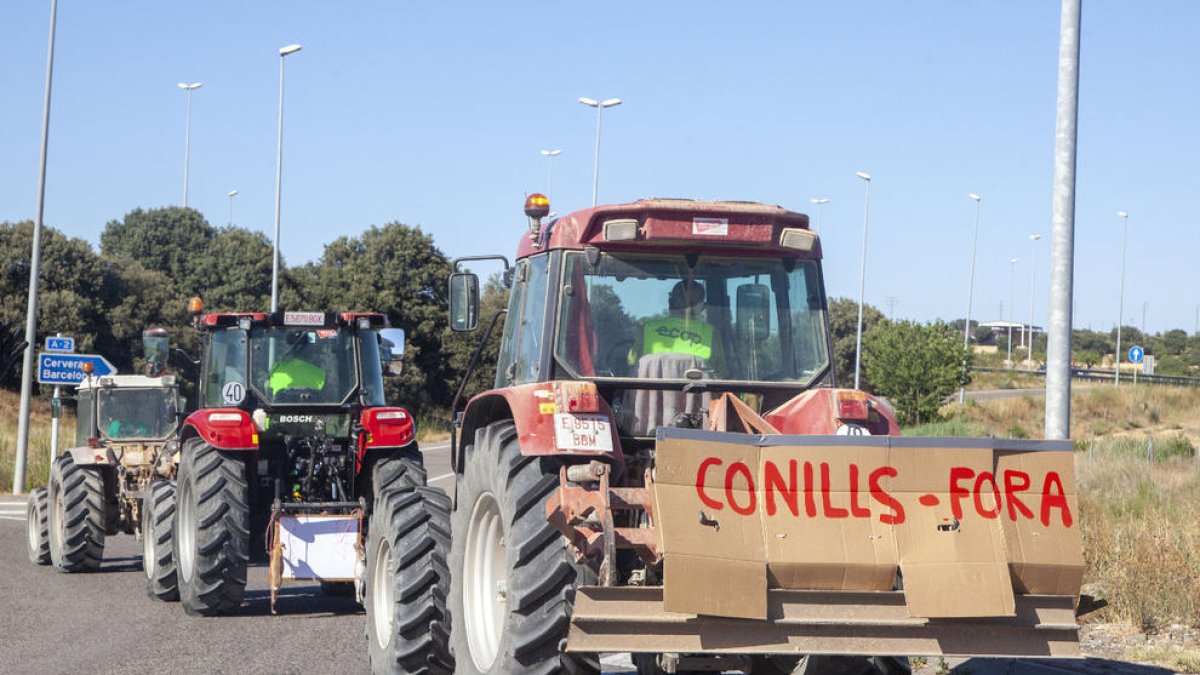 La marxa de divendres passat.