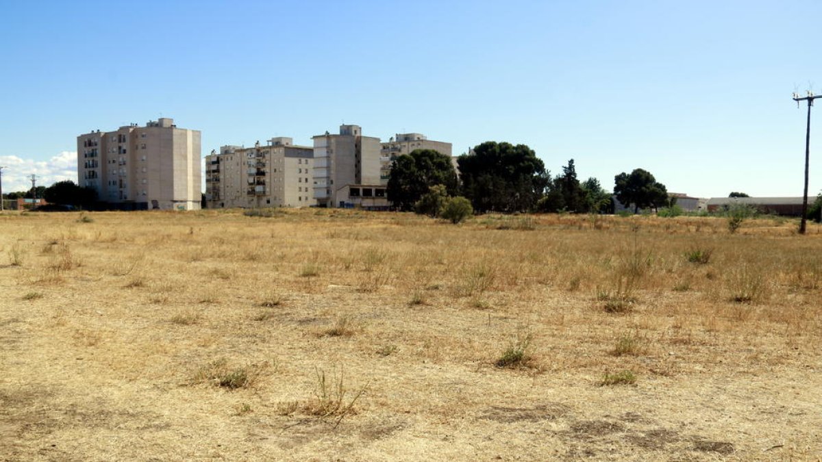 Un terreno yermo y con vegetación seca junto a un grupo de bloques de pisos en el barrio de Balàfia de Lleida.