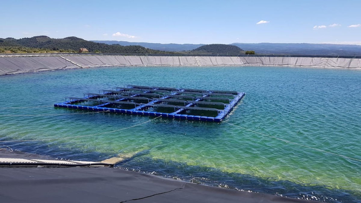 Plaques solars en una bassa del Segarra-Garrigues el 2018.