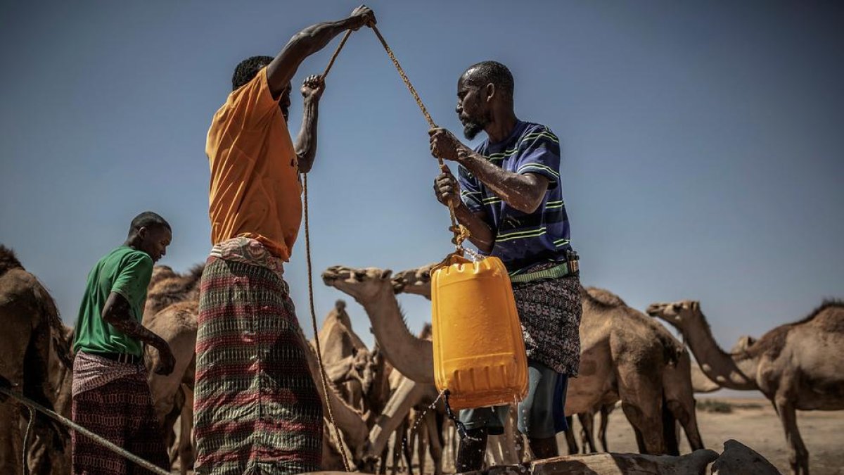 Más de 5.000 millones de personas tendrán problemas de acceso al agua en 2050