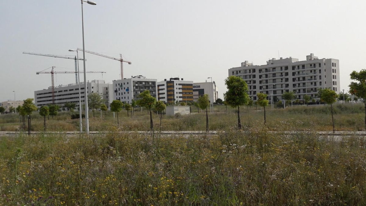 Imatge d’arxiu de blocs d’habitatges en construcció.