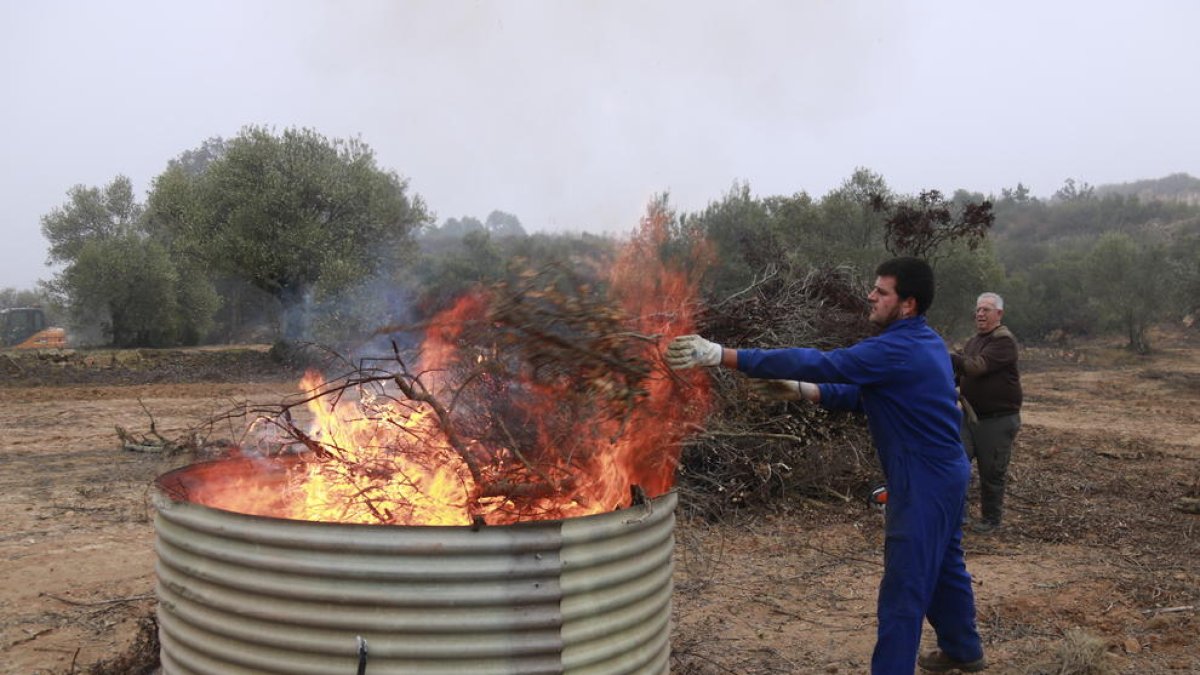 Un pagès tirant restes de poda d'una finca a un forn per fer biocarbó.