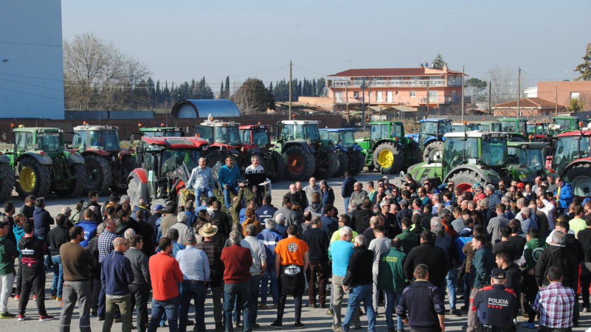 Concentración de tractores en Golmés para protestar contra la plaga de conejos.