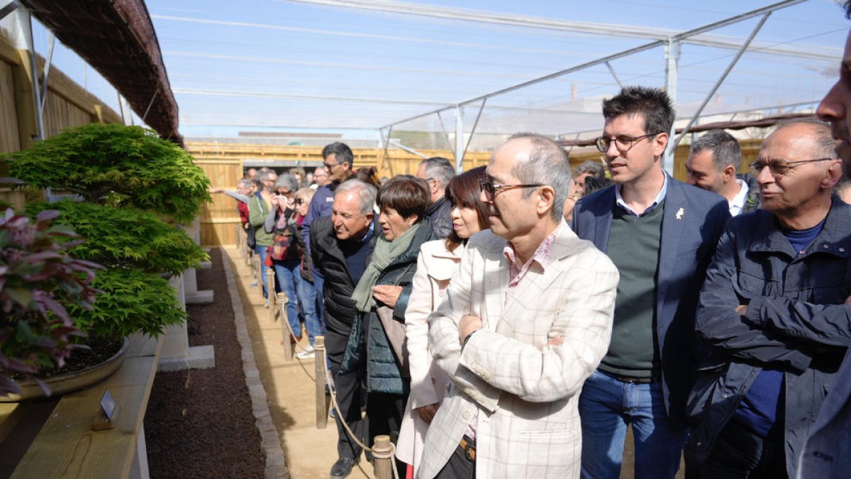 Miquel Pueyo, Toni Postius, Yasushi Sato i la seua dona, durant la inauguració de l’Espai Bonsai.