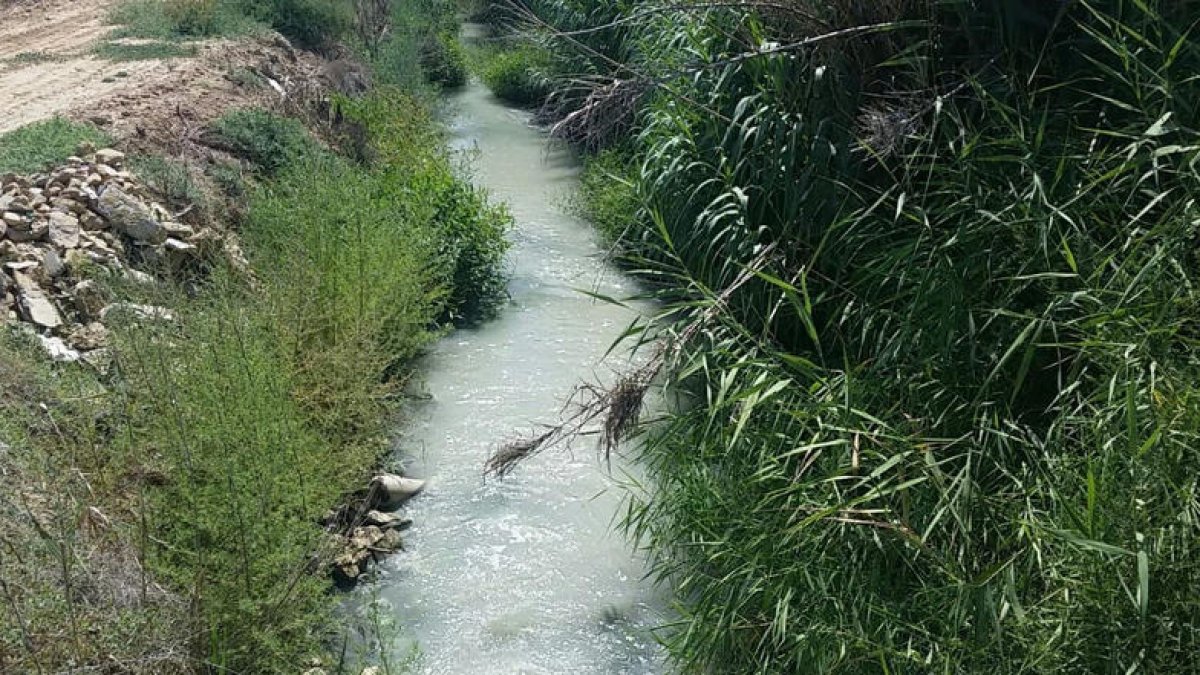 El caudal de la acequia, de nuevo teñido de blanco.