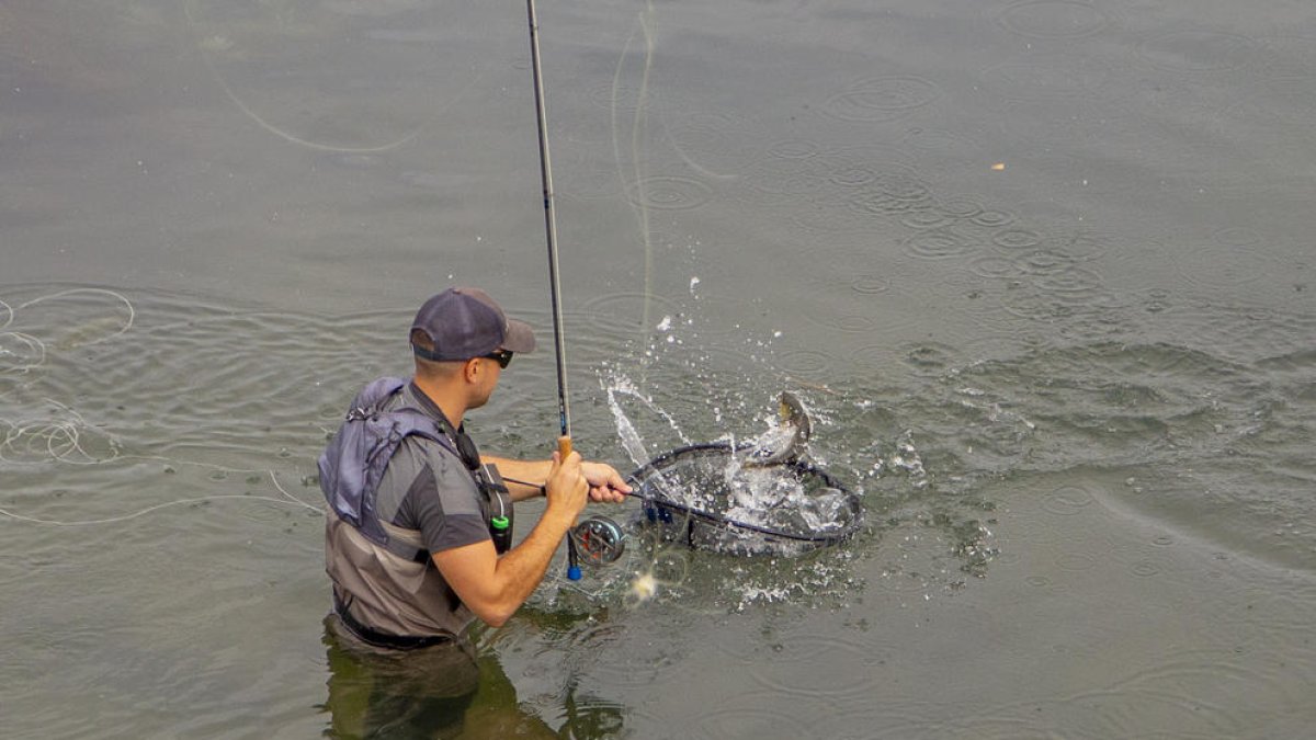 La plaça de Sant Pere acull els 12 expositors relacionats amb el sector de la pesca.