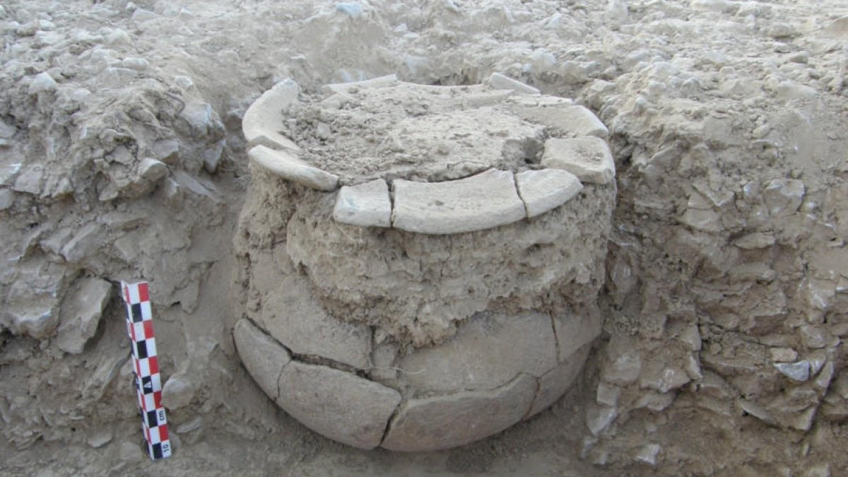 L’urna funerària recuperada en les últimes excavacions.