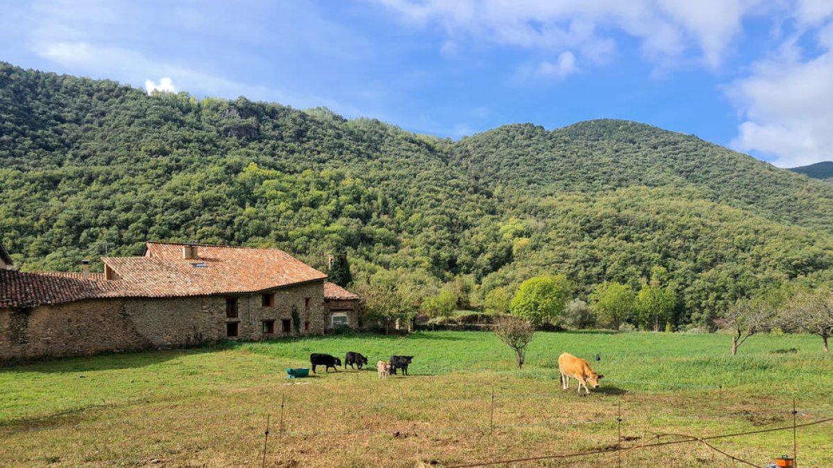 Finques que formen part del banc de terres que els socis de la cooperativa Copsant posen a disposició de petits productors o ramaders. Les finques es troben a tocar del poble de Bale