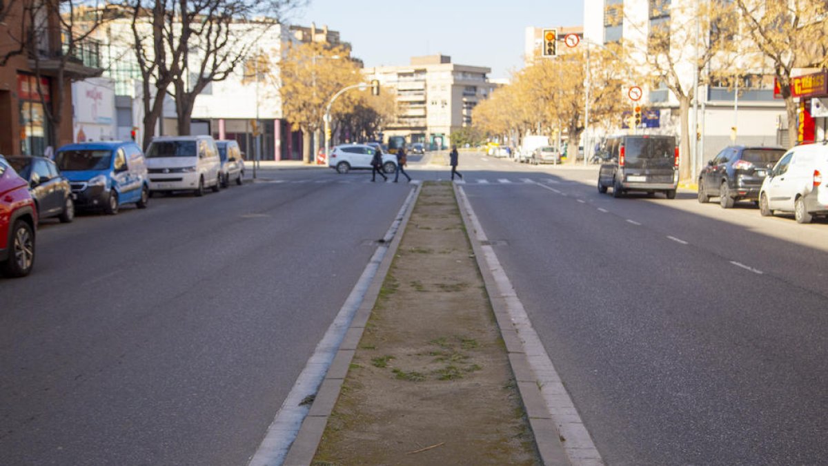 Mitjana sense arbres al carrer Baró de Maials a Balàfia.