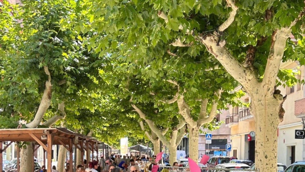 Alguns dels clients del Mercat de les Rebaixes de Balaguer.