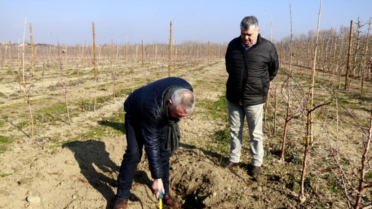 Agricultors demanen mesures per combatre la fauna salvatge