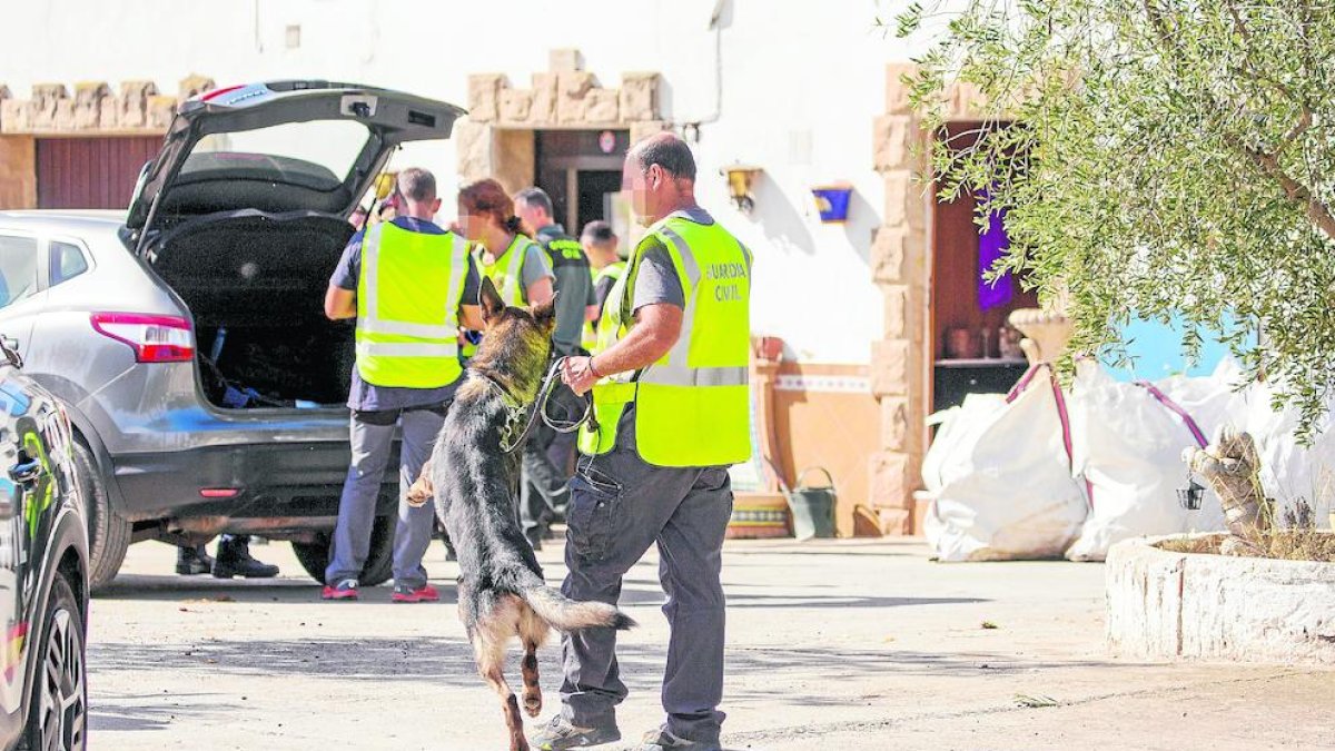 Un perro adiestrado en la búsqueda de drogas participó ayer en el registro de la nave abandonada en Les Borges Blanques. 