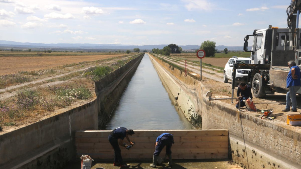 Operarios del Canal d'Urgell preparan las vallas para reservar el agua para los municipios
