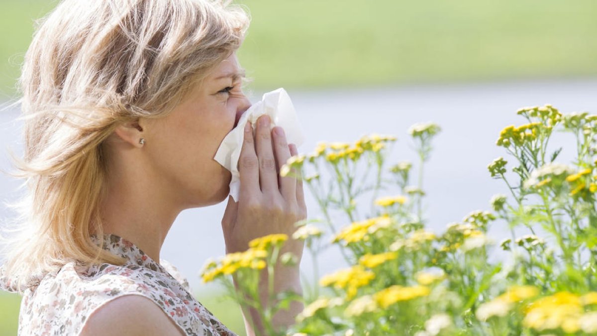 Uns 107.700 lleidatans pateixen alguna al·lèrgia respiratòria, fet que suposa un 25% de la població.