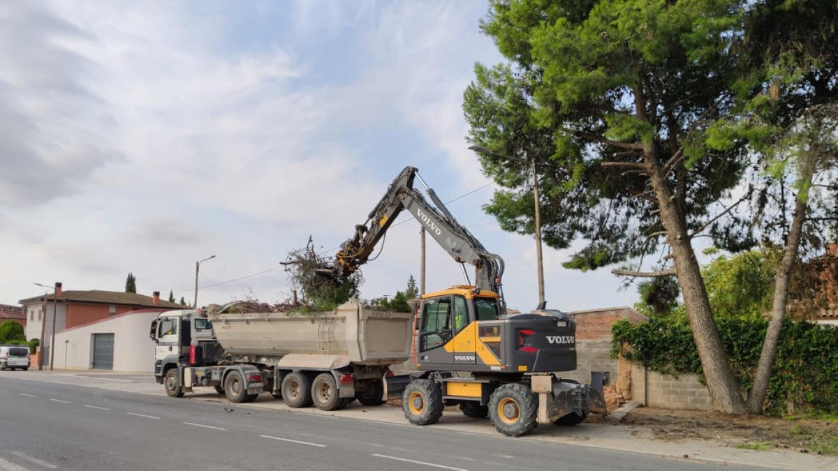 Trabajos en Alcarràs para retirar las ramas que cayeron de un árbol durante la tromba de agua del martes. 