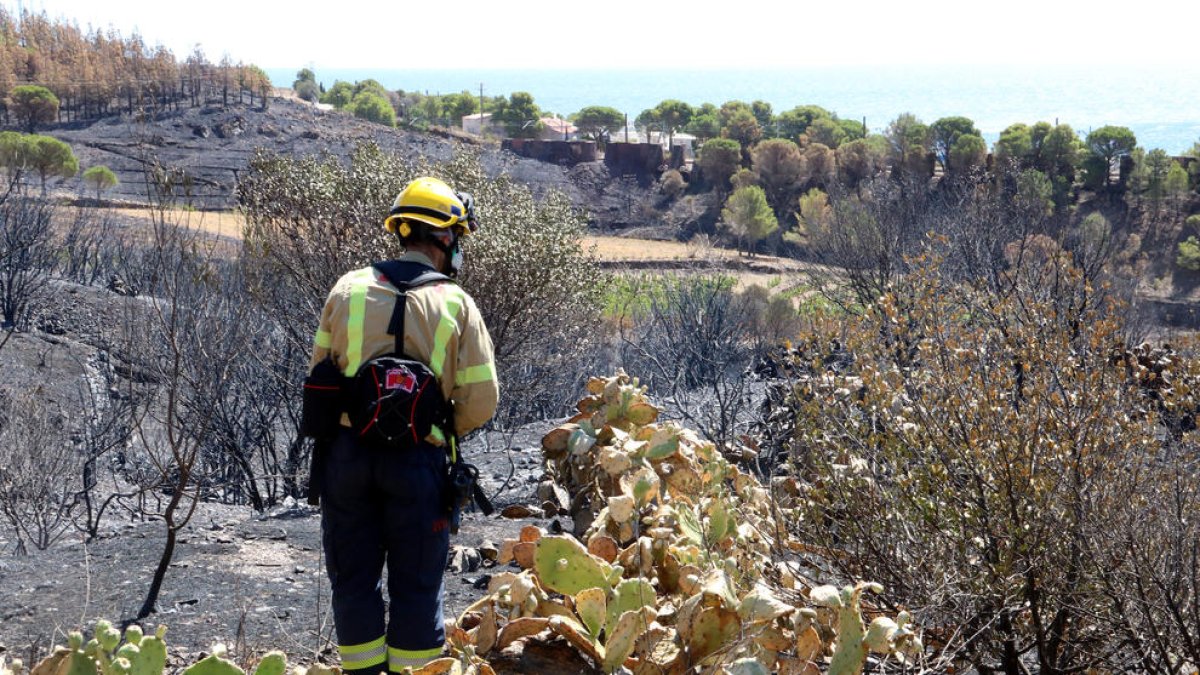 Un bombero remoja una zona afectada por las llamas en Colera.