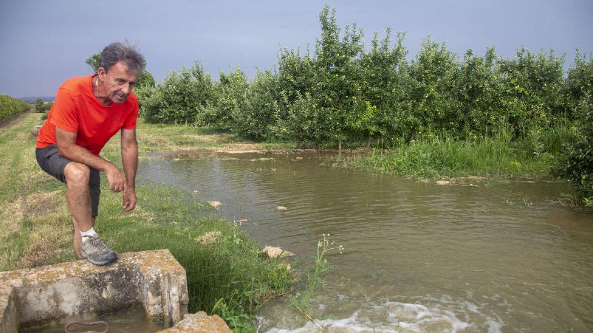 Pere Ramon Pont, de Claravalls, regando ayer por la tarde una plantación de manzanos. 