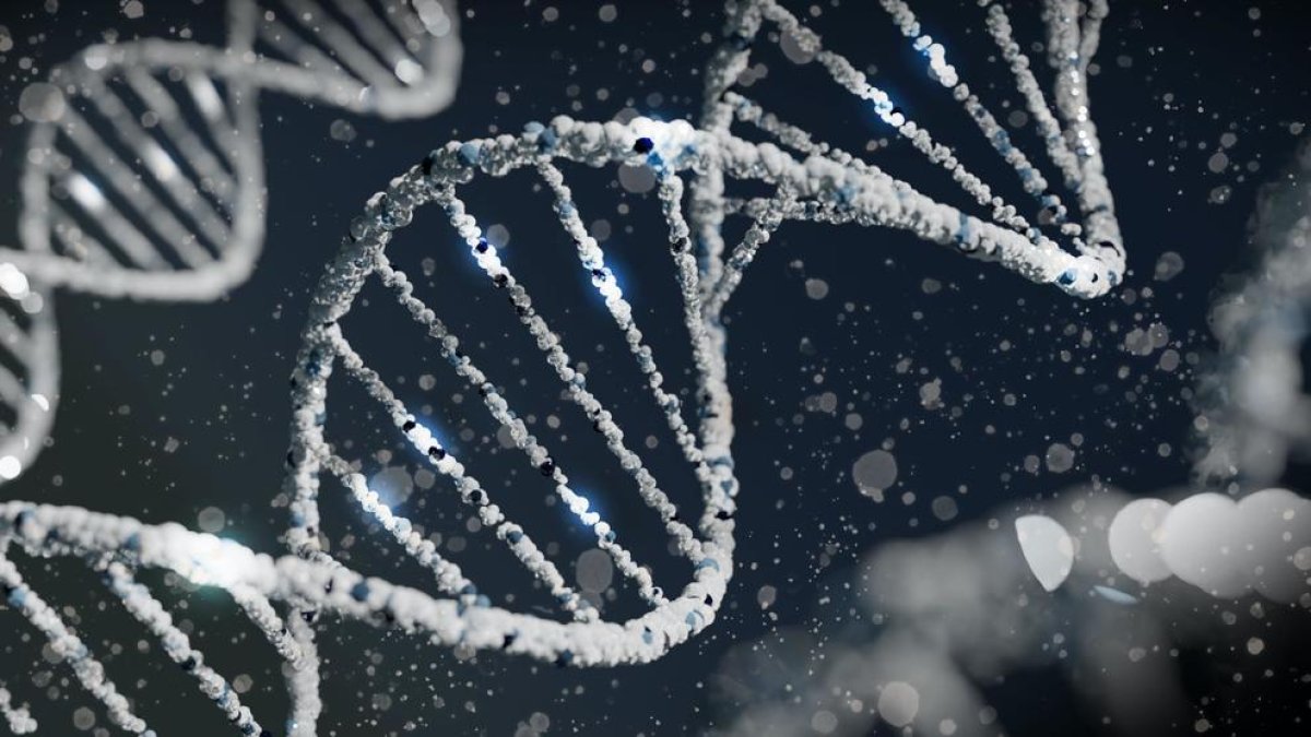 Investigadors generen la primera seqüència completa i sense buits d'un genoma humà