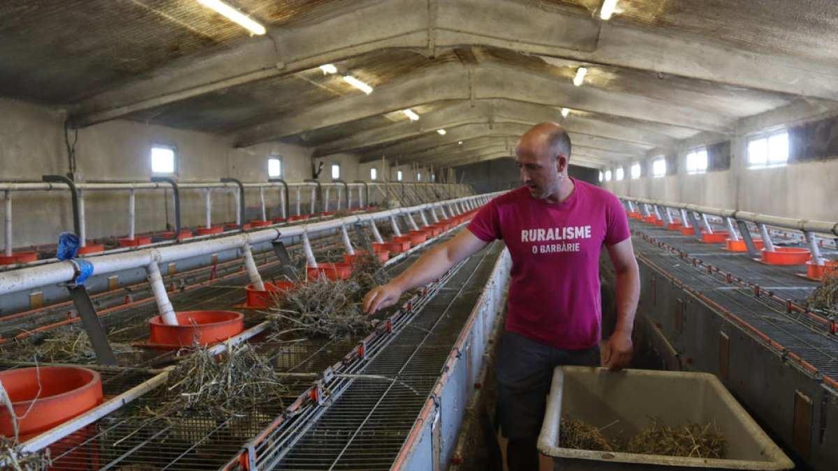 Arnau Vilaseca, uno de los tres emprendedores, en su granja de Prades de la Molsosa.