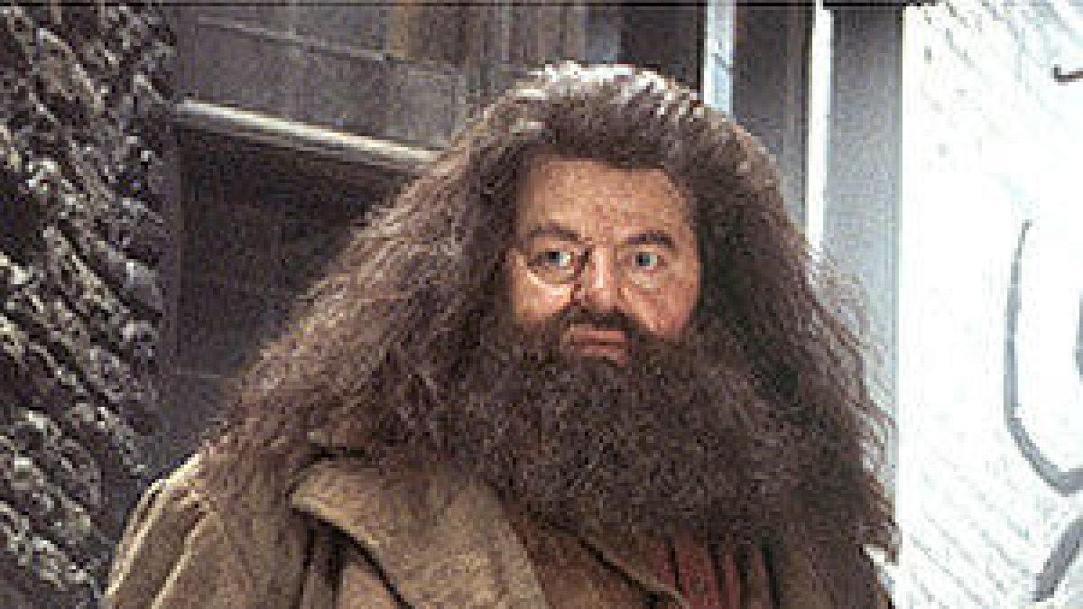 Coltrane, caracterizado como Hagrid.