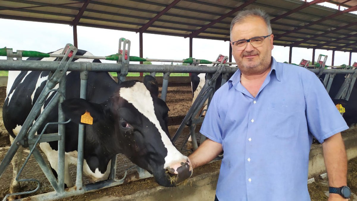 Josep Maria Campabadal, a la seua granja de Térmens, una de les que s’han sumat ara al projecte de Llet Nostra.