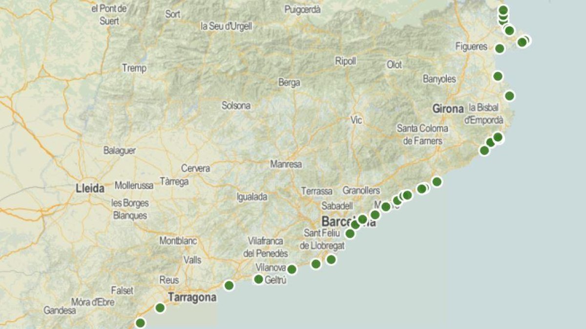 Más de la mitad de municipios costeros de Catalunya tendrán playa para perros este verano